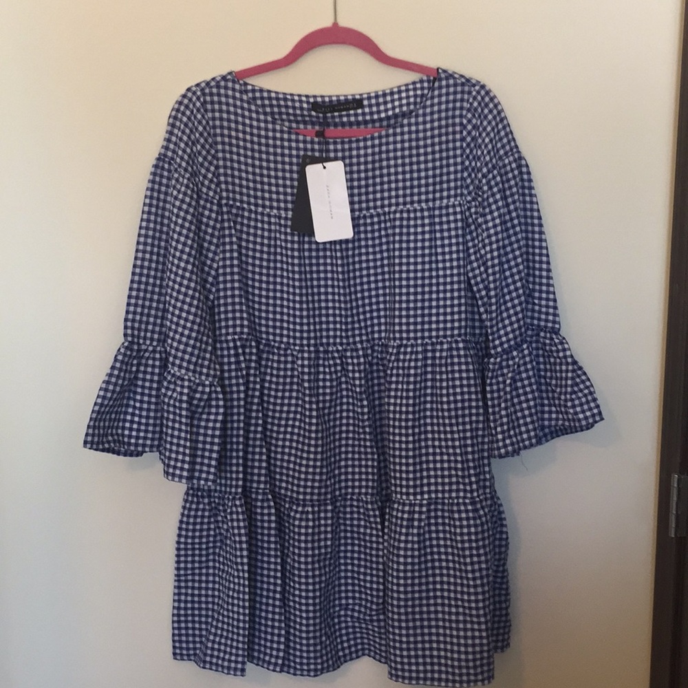 Zara Gingham Ruffle Dress NWT